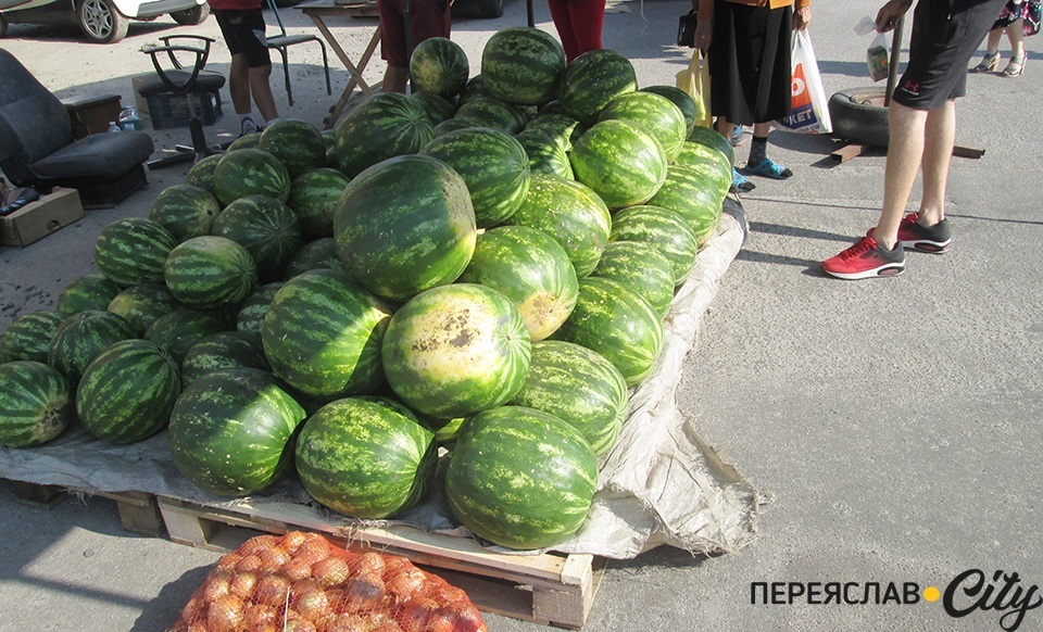 кавуни