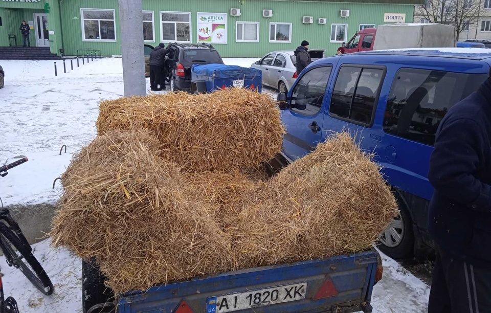 солома