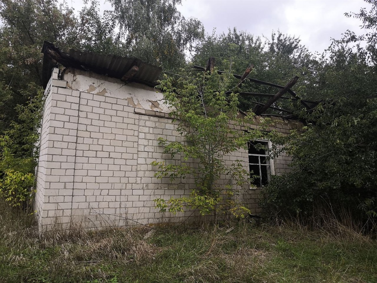 Руїни клубу в Харківцях  заросли вже деревами 