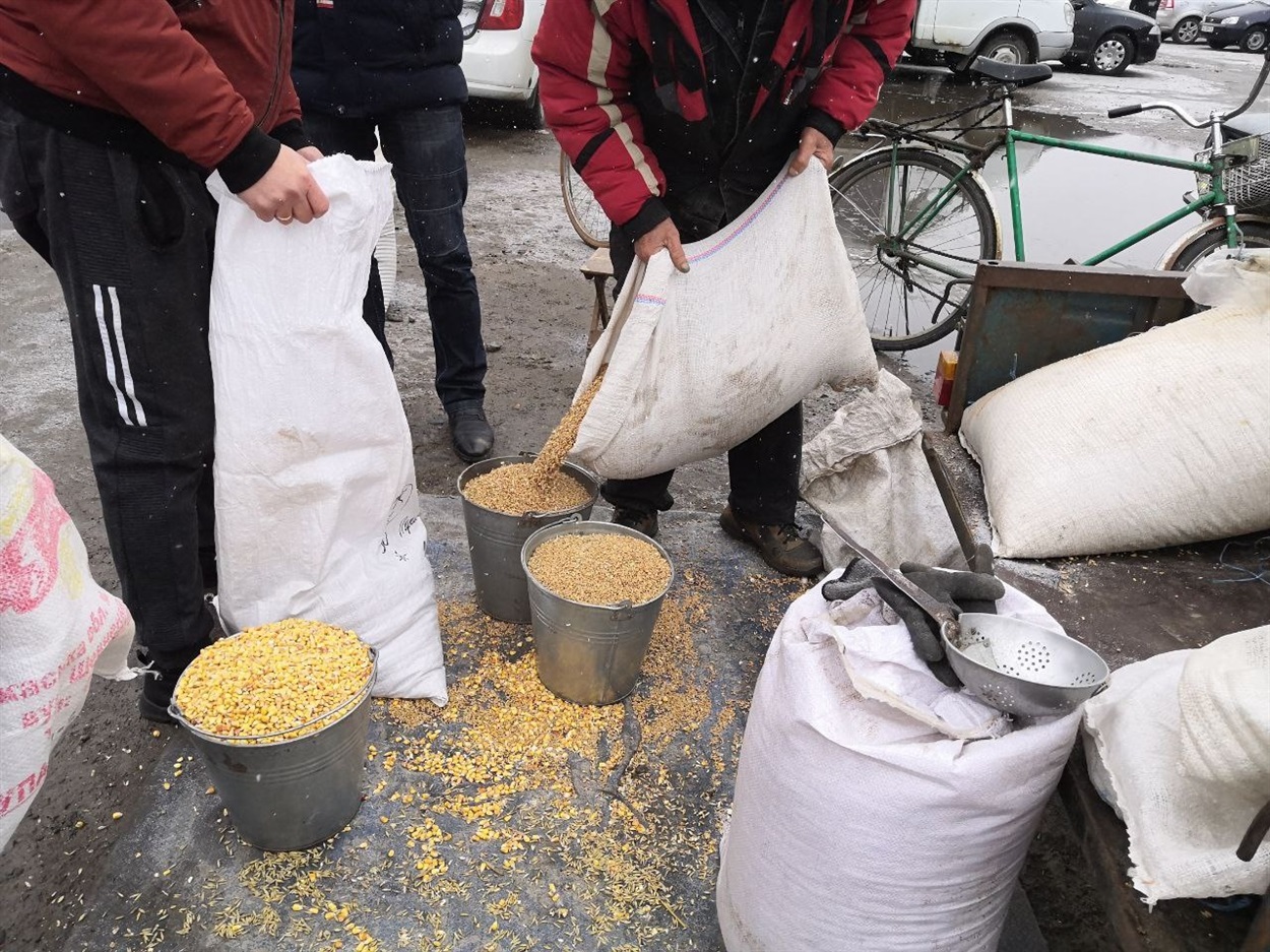 Зерно насипають по 45-50 грн за відро