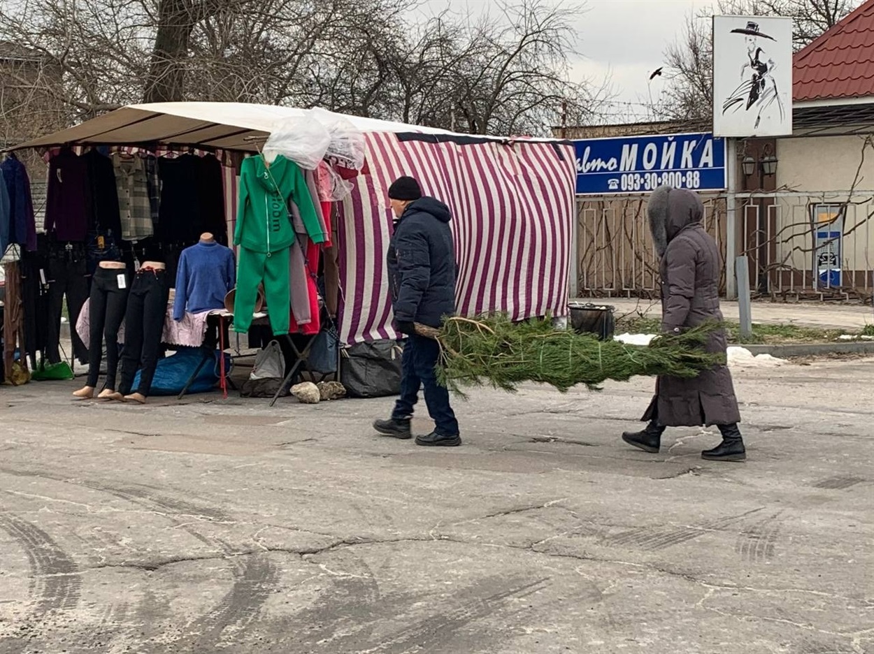 Ця пара прикрасить у своїй оселі "живу" зелену красуню