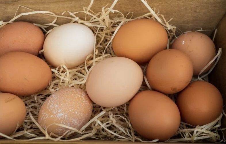 Перед продажем яйця ділитимуть за якістю й вагою