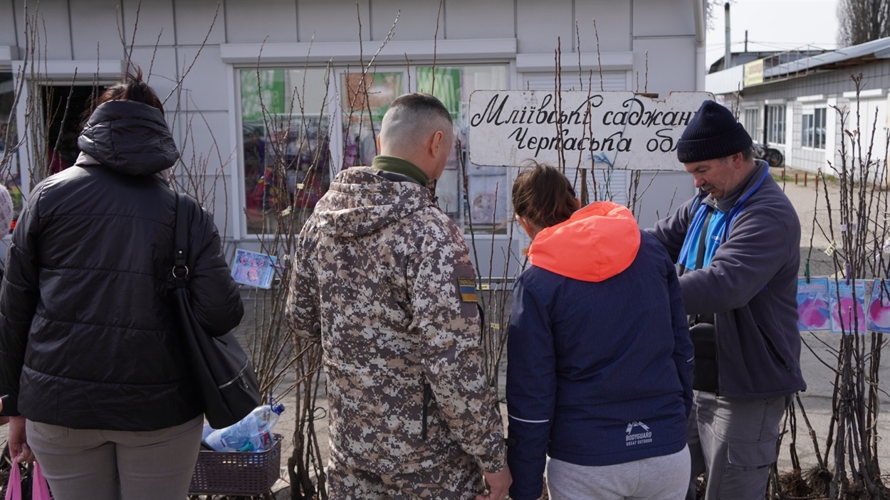 Сергій Кравець радить саджанці найсолодших персиків