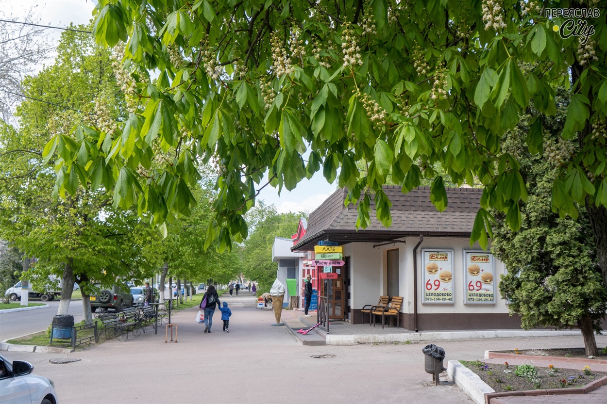 Містяни насолоджуються природою, яка оживає