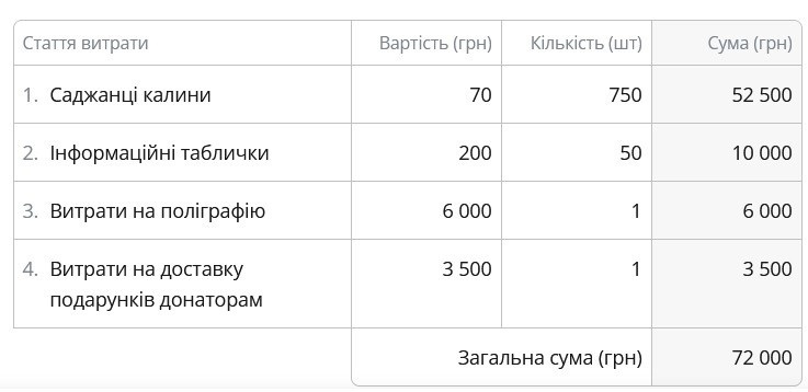 Скільки коштів потрібно на реалізацію ідеї