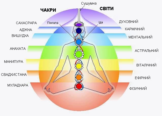 Чакри людини