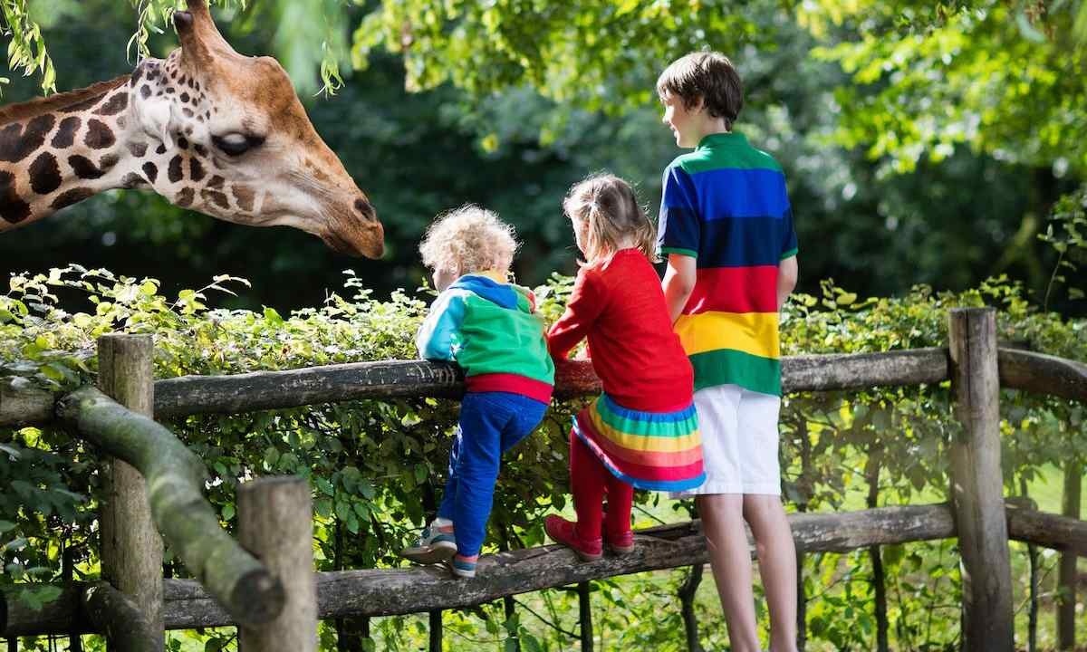 ілюстративне