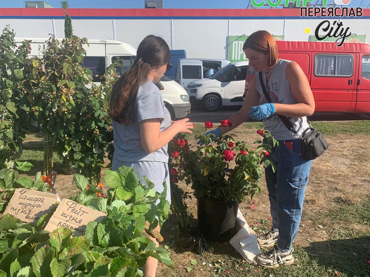 Продавців саджанців на базарі побільшало, попит на цей товар також зріс