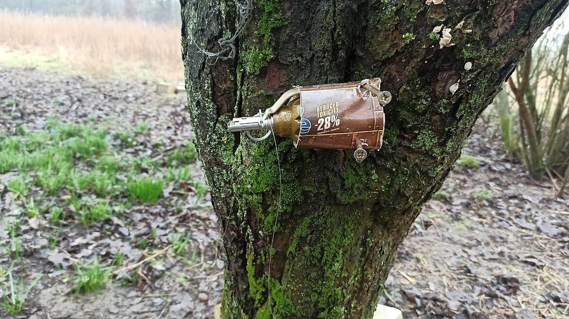 Гранати можуть бути як на деревах, так і під ними!