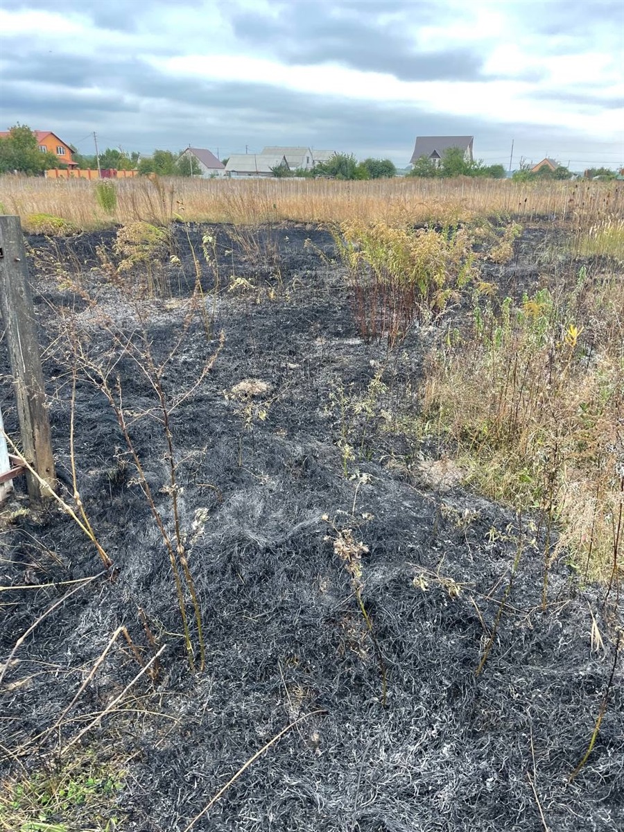 Вогонь рятувальники загасили. Трава згоріла на площі 0,3 га.