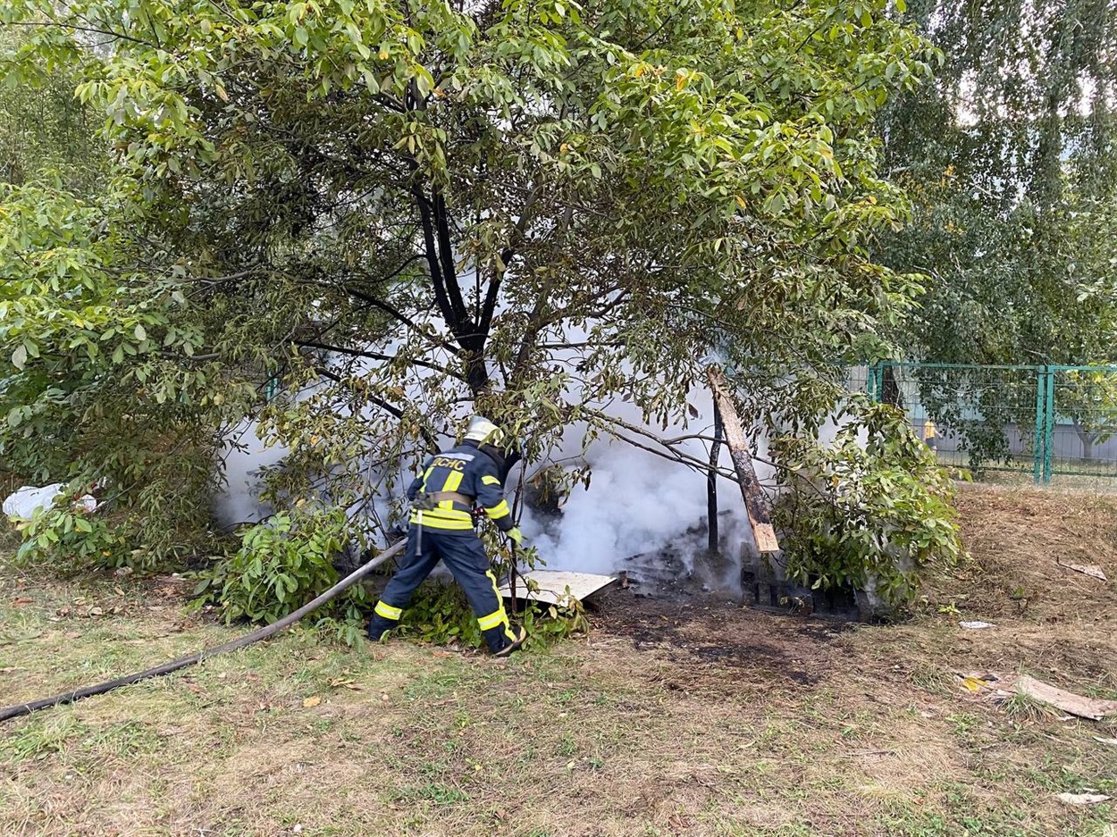 Процес гасіння палаючого дерева на вулиці Пугачова