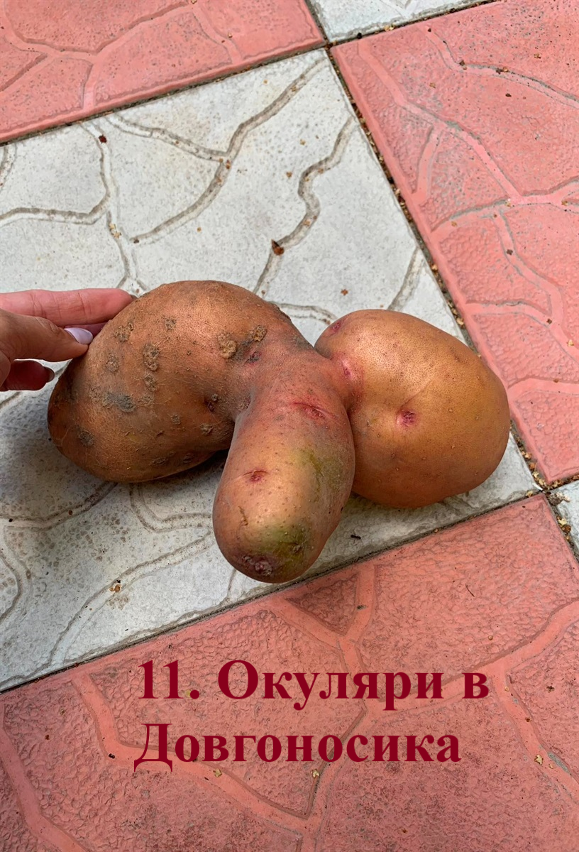 Світлина, яка за кількістю голосів посіла друге місце