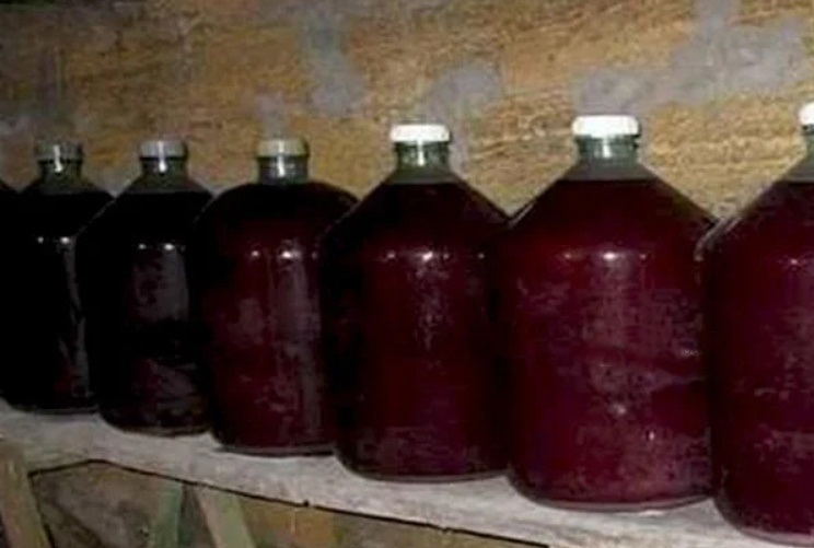 дозрівання домашнього вина