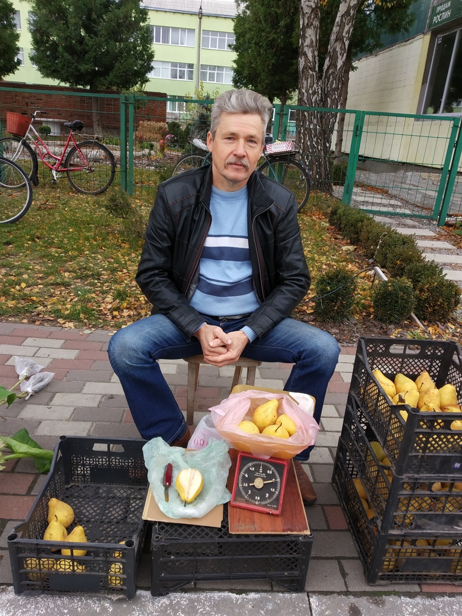 Василь продавав груші Бера
