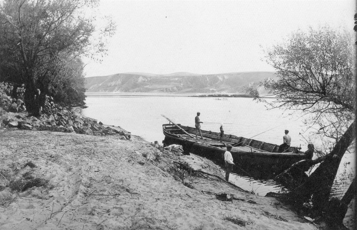  Човен дуб в урочищі Кошелі