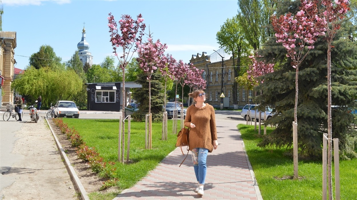 Сквер із сакурами біля швейної фабрики в середмісті. 2021 р. 