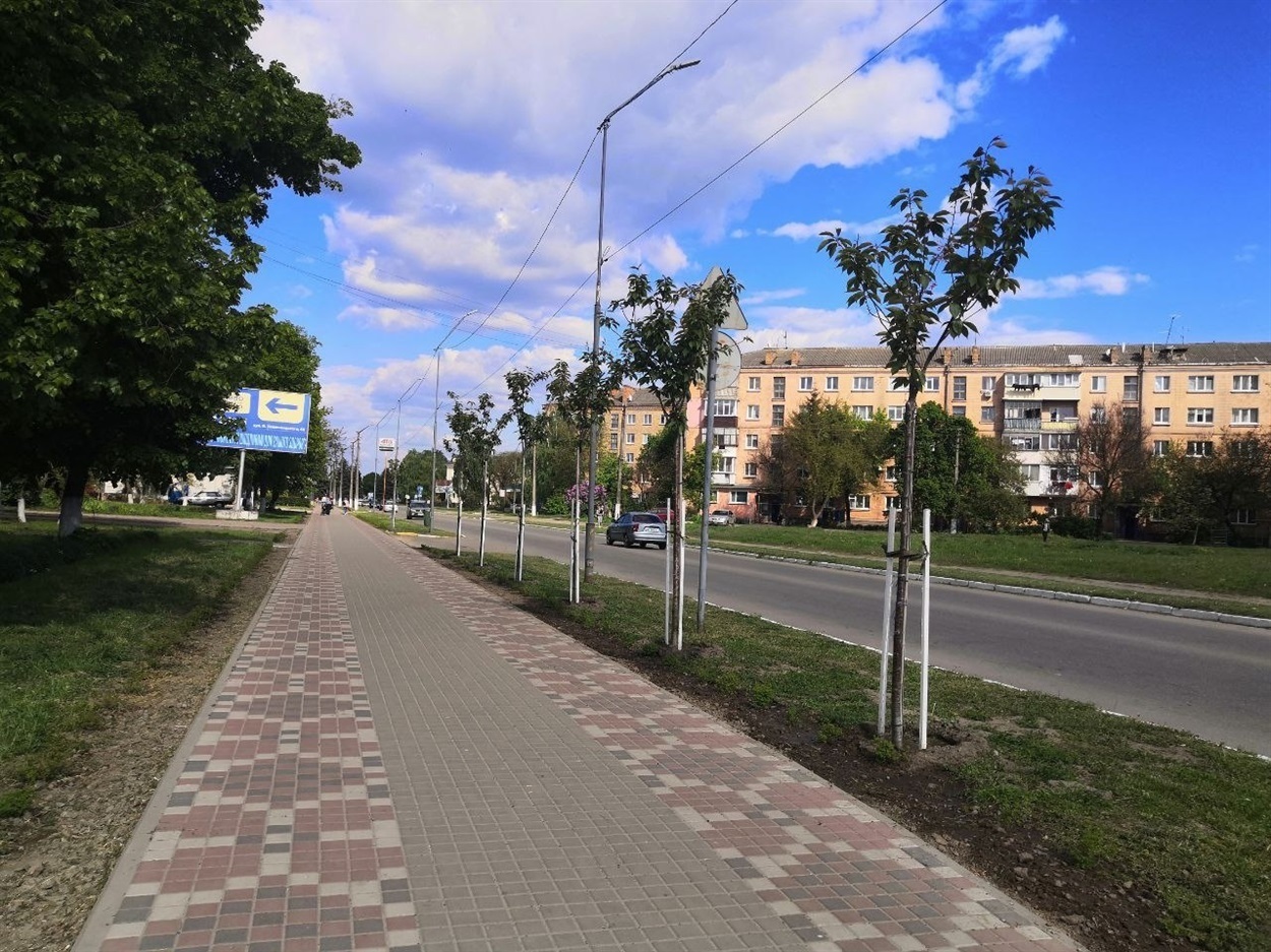 Висадженим навесні 2023 року сакурам вздовж дороги на вул. Б. Хмельницького раділи не всі переяславці