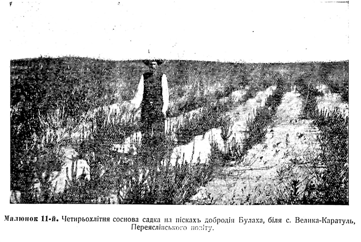 Фото з книги О. Мицюка