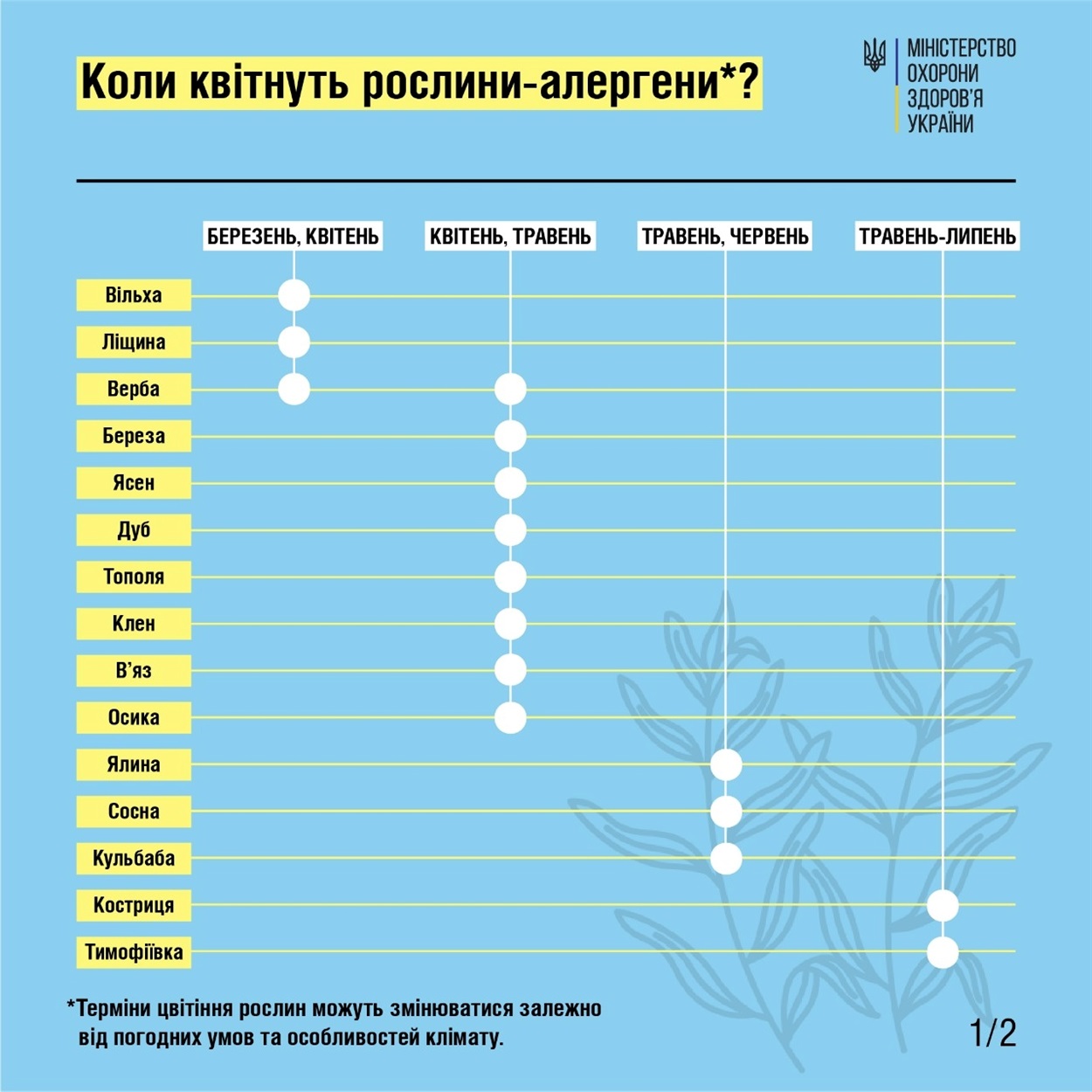 коли квітнуть рослини алергени