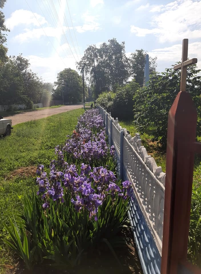 Помоклі. Біля місцевої церкви