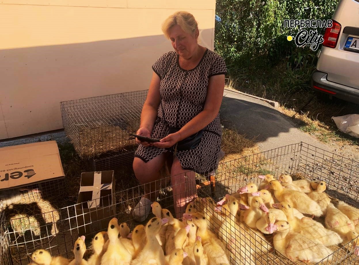 Наталія Підручна з Сомкової Долини на базар у Переяслав птицю возить вже 25 років