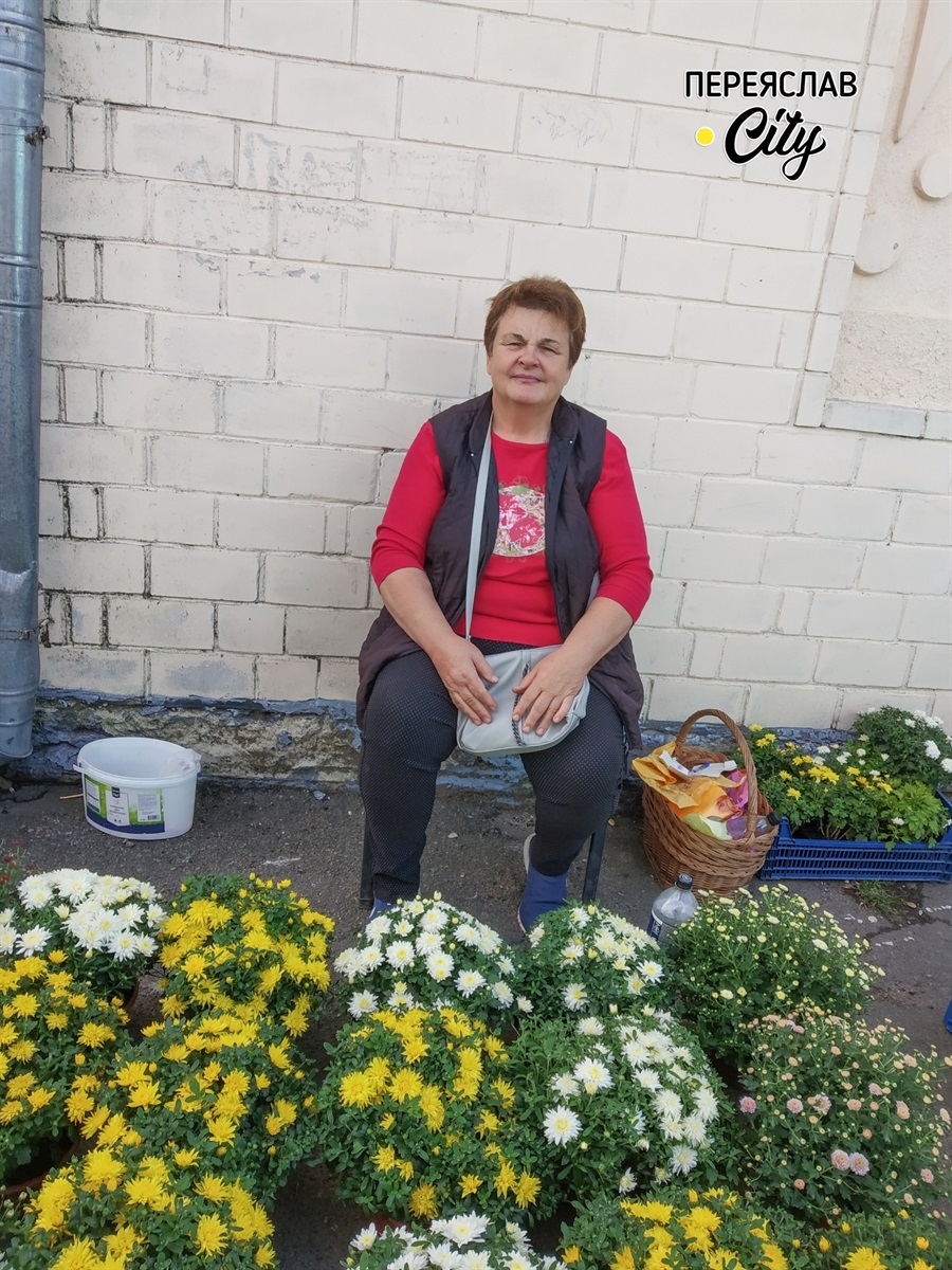 Олена Талалаєва близько 30 років вирощує хризантеми, вони уже почали цвісти- незабаром осінь