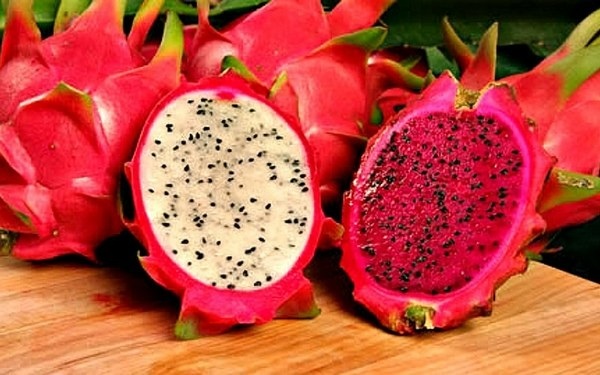 https://fruit-time.ua/catalog/ekzoticni-frukti