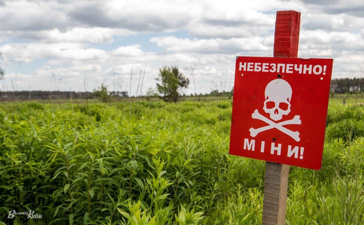 розмінування України