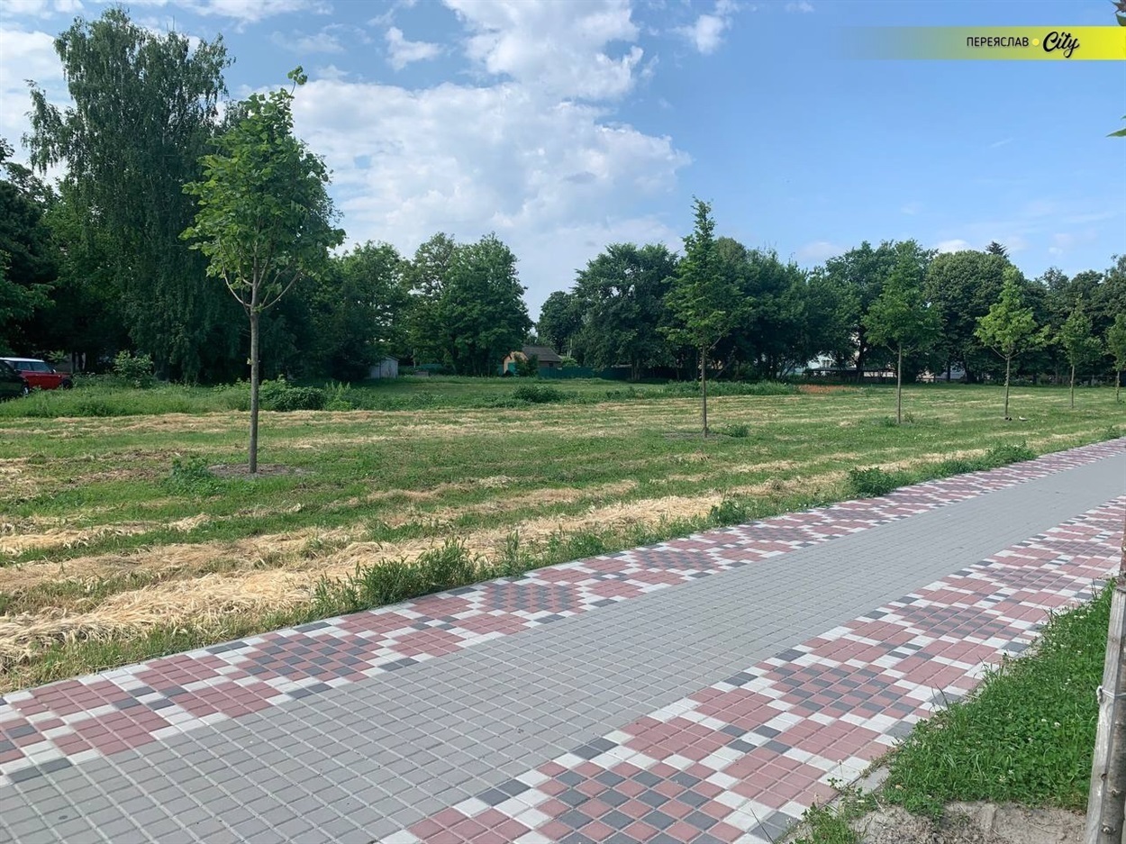 Липи на місці будівництва торгового центру в Переяславі доведеться пересадити 