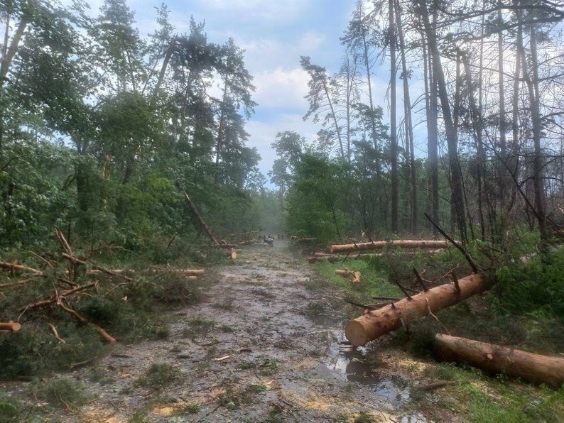 Наслідки буревію у Золотоноші