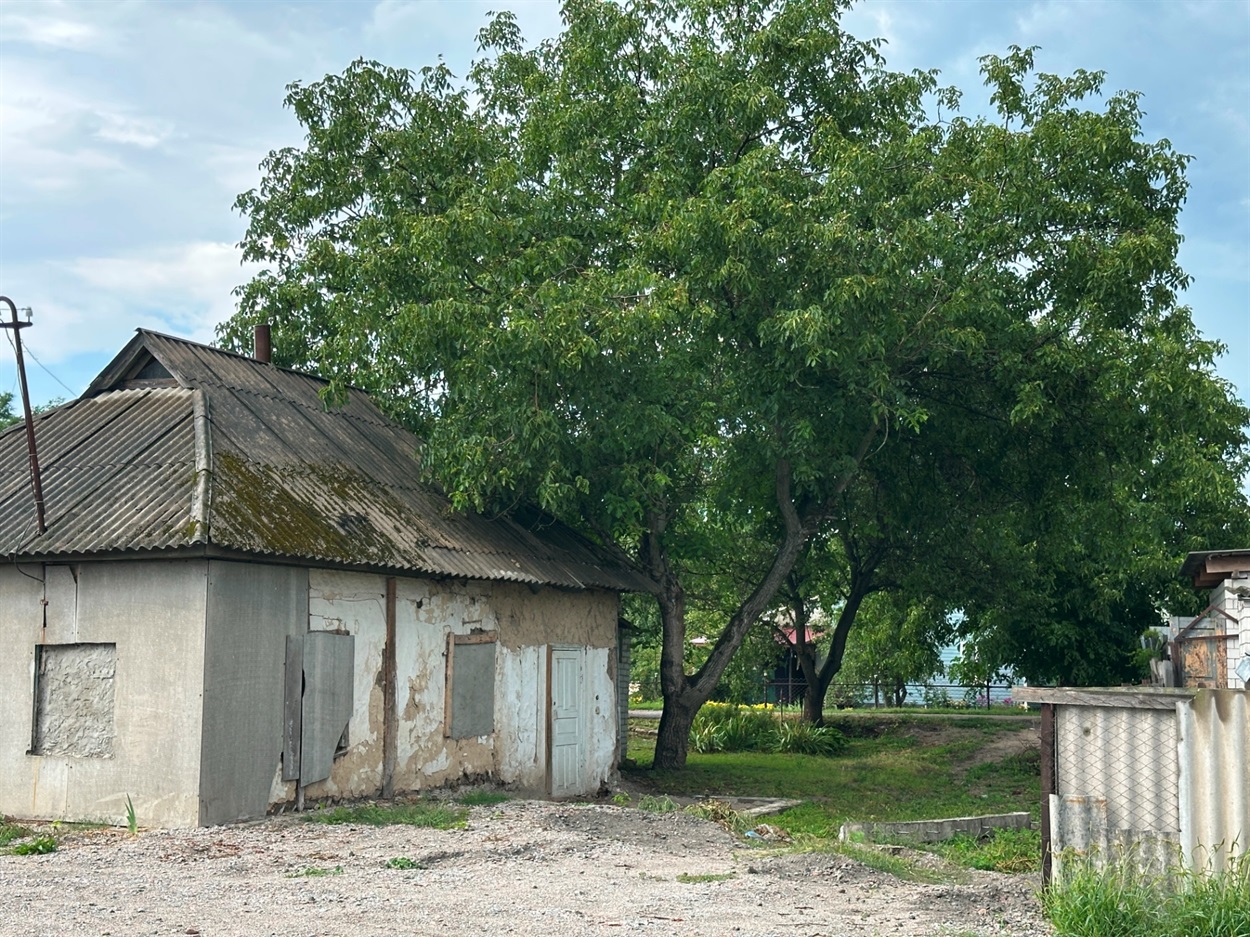 Горіх на вул. Бастіонній, 17  зріжуть.  До речі, на ньому цьогоріч гарний урожай! 