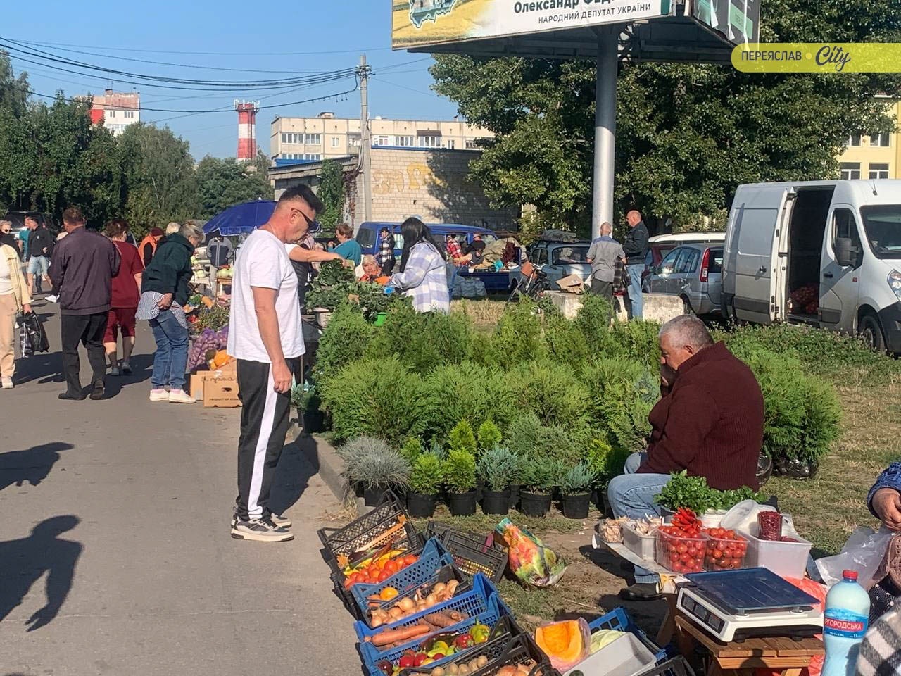 У Переяславі на базарі за кілограм білих грибів просили 350 гривень, а за саджанець троянди – 100