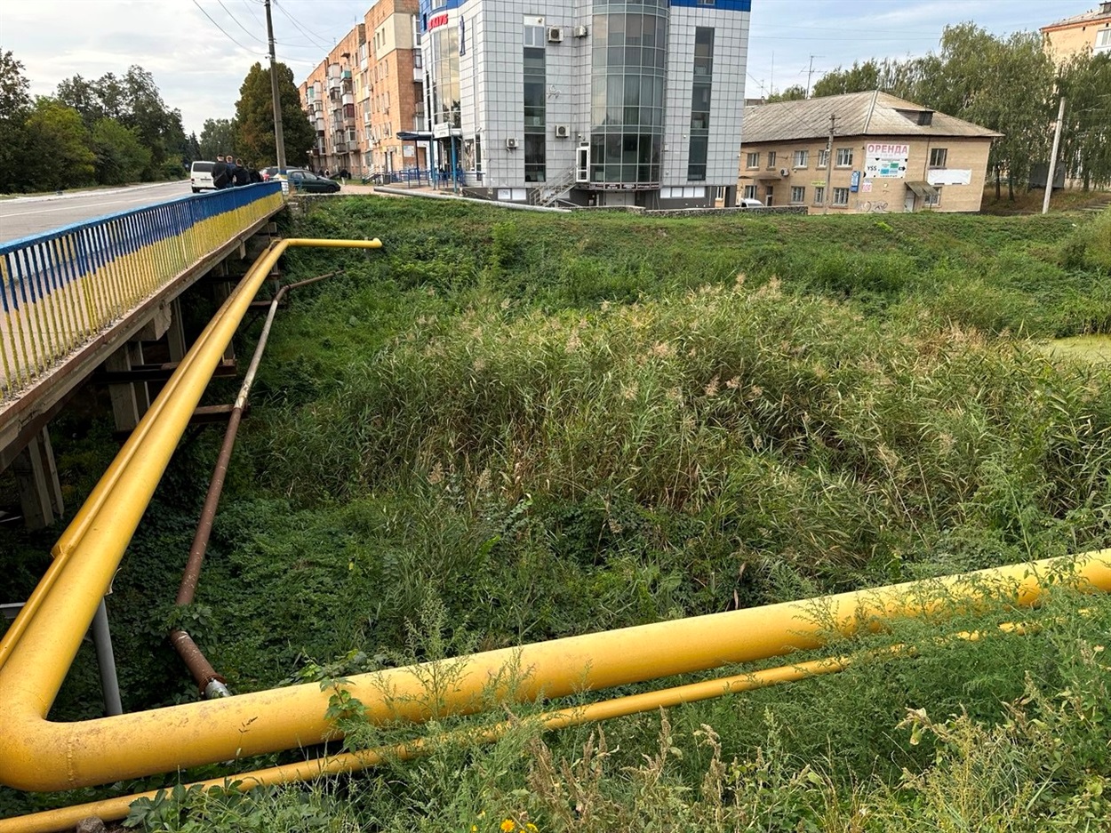 Русло р. Альти в районі вул. Б. Хмельницького в Переяславі майже зміліло і густо заросло очеретом. Вересень 2025 р.  
