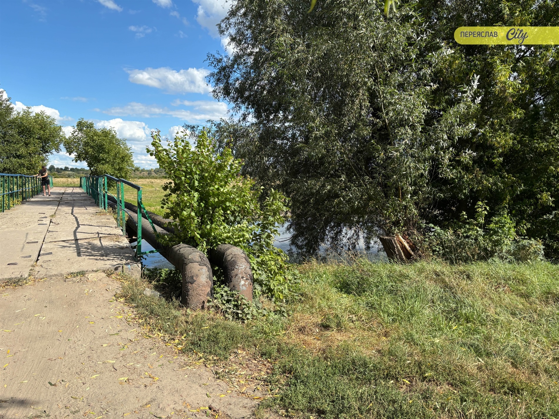 Замість купи сміття барбариси і кани: як пенсіонер облаштовує занедбаний берег річки у Переяславі