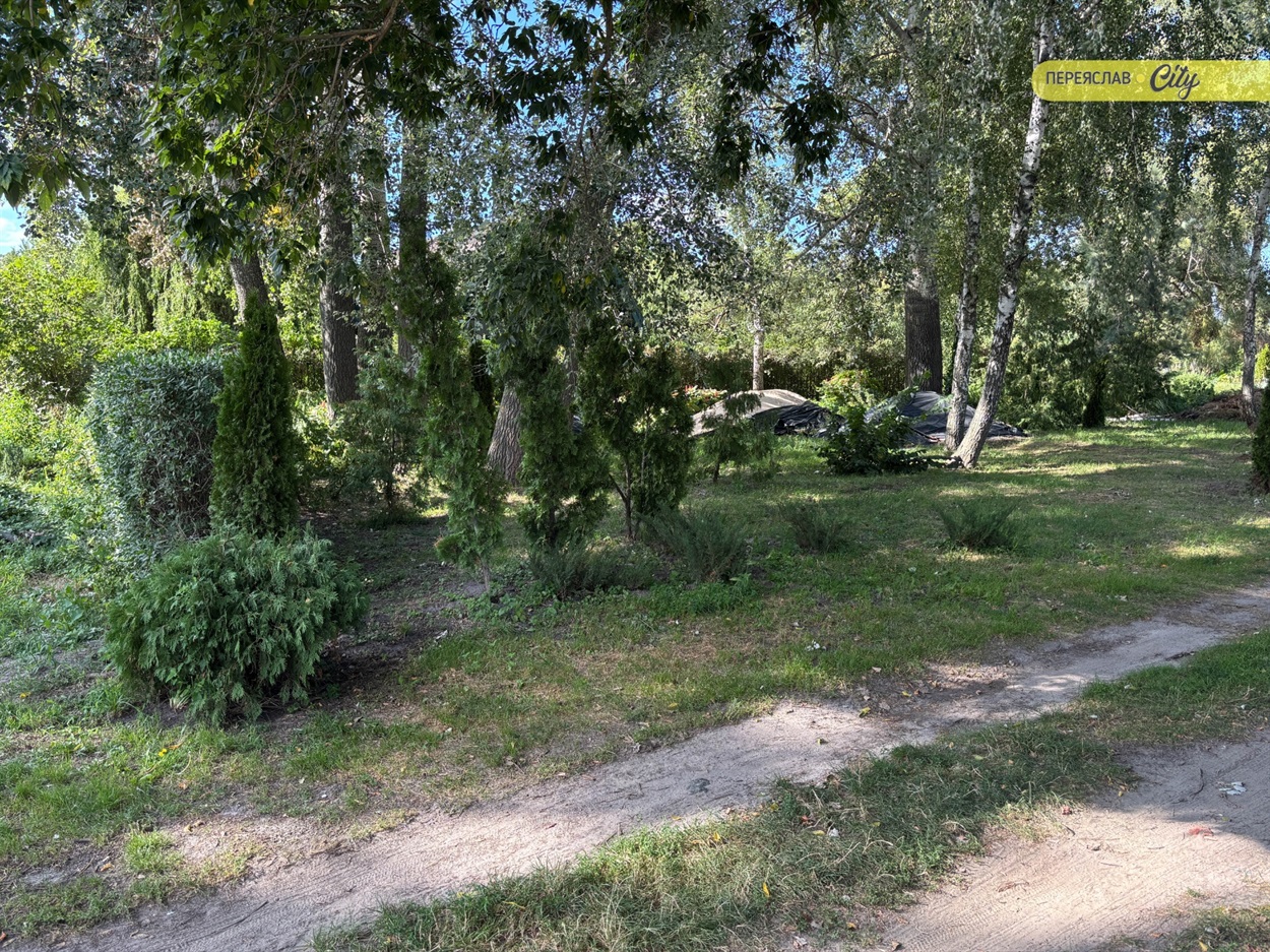 Замість сміття барбариси і кани на березі Трубежа 
