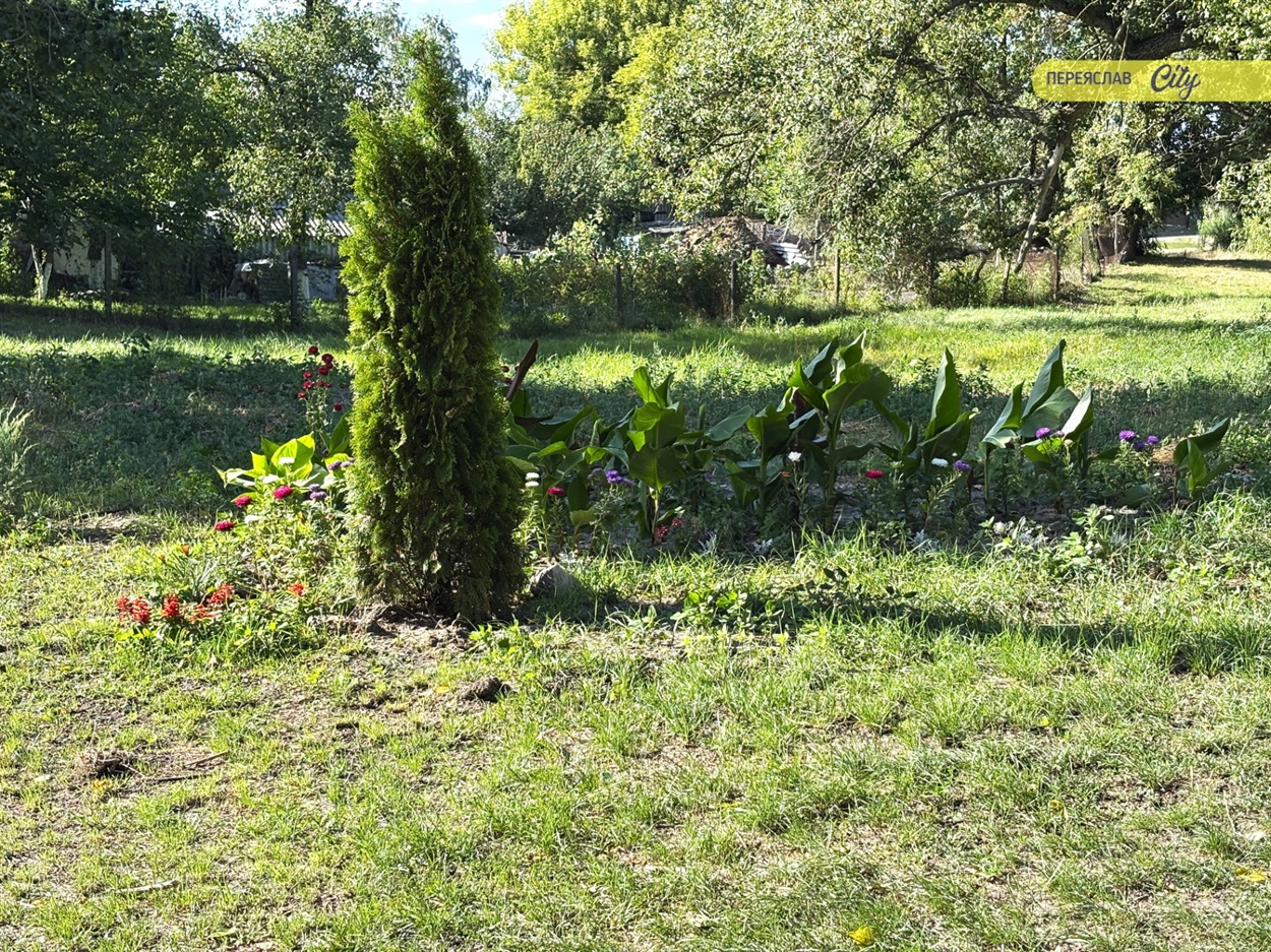 Замість сміття барбариси і кани на березі Трубежа 