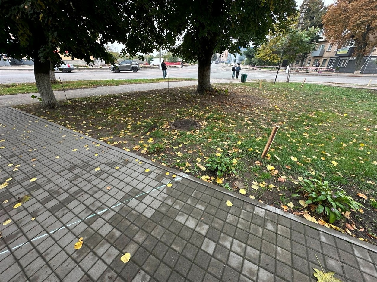 А ці дві липи потрапили в нову зелену зону, тому залишаться 