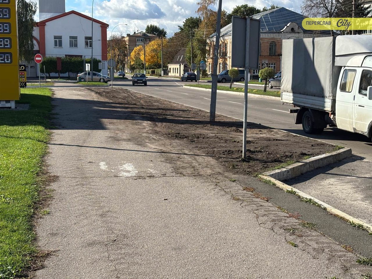 У Переяславі на вулиці Покровській посадять дерева