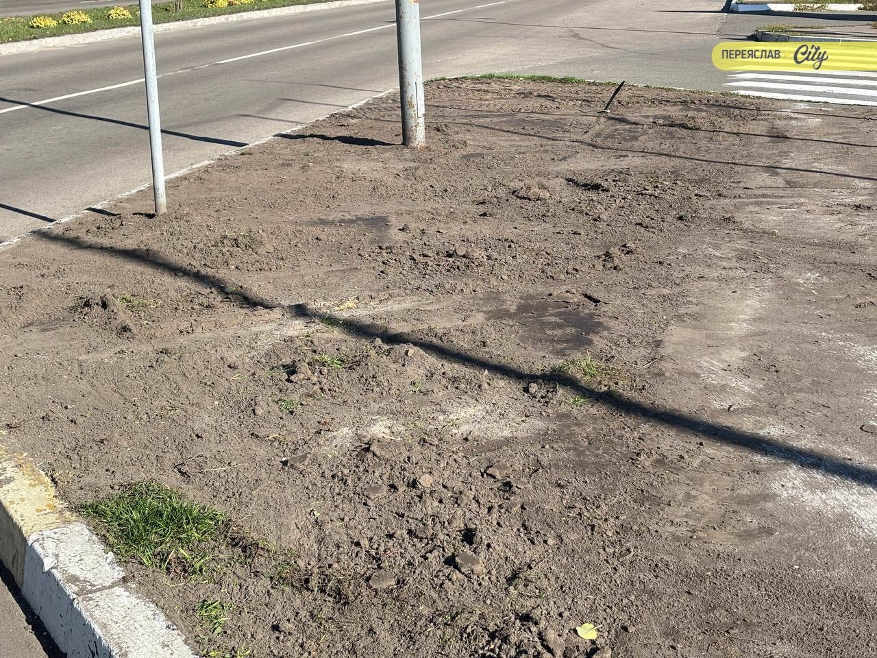 У Переяславі уздовж тротуару на вулиці Покровській готуються саджати дерева