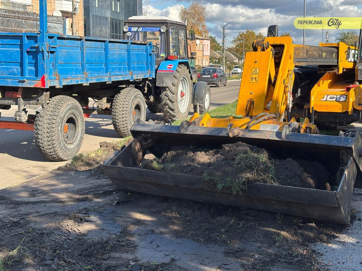 У Переяславі на вулиці Покровській посадять дерева