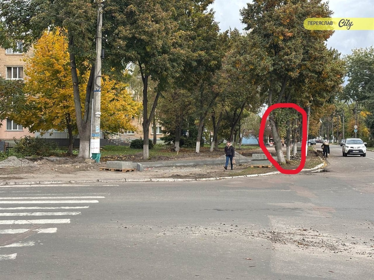 Червоним виділені липи, які зріжуть (вул. Богдана Хмельницького), Переяслав, жовтень 2025 р.