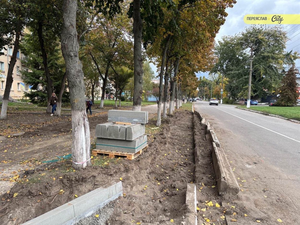 Липи, що на фото залишаться рости (вул. Богдана Хмельницького), Переяслав, жовтень 2025 р.