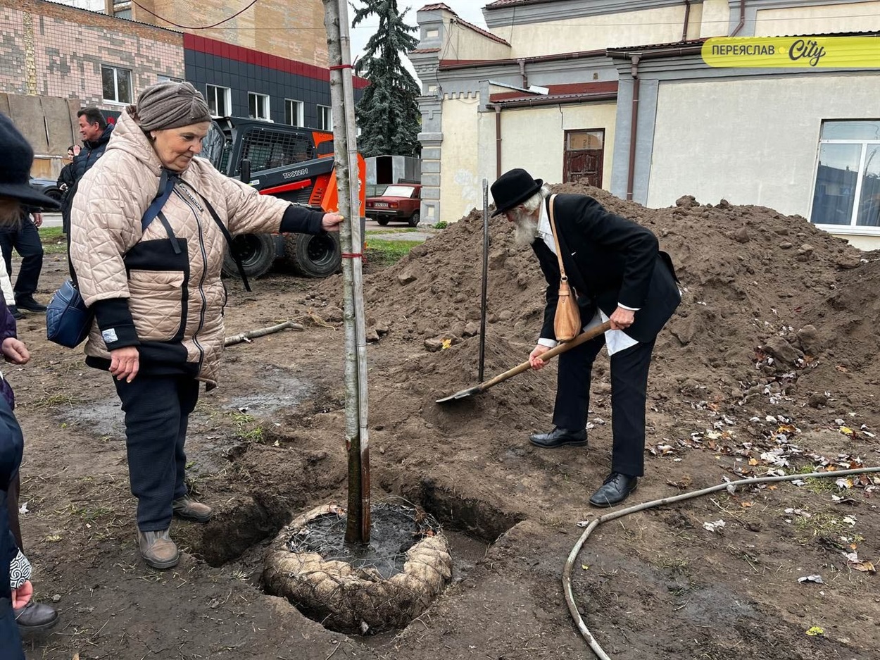 Висадка червоних кленів у сквері Шолом-Алейхема представниками нацменшин Переяслава. 22 жовтня, 2025 р. 