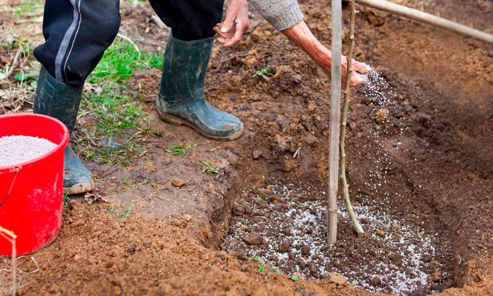 посівний календар листопад 2025