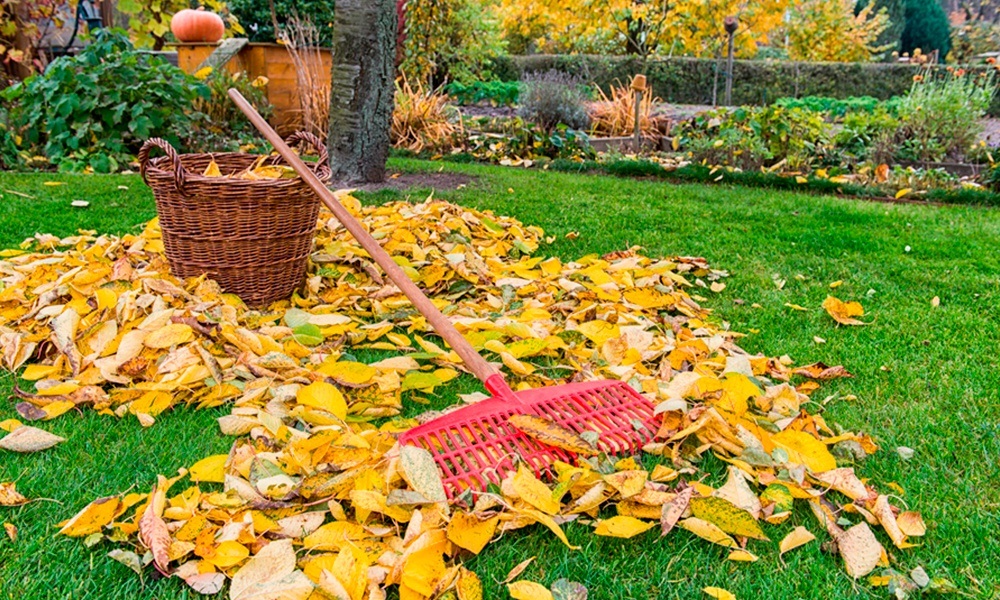 посівний календар на листопад 2025