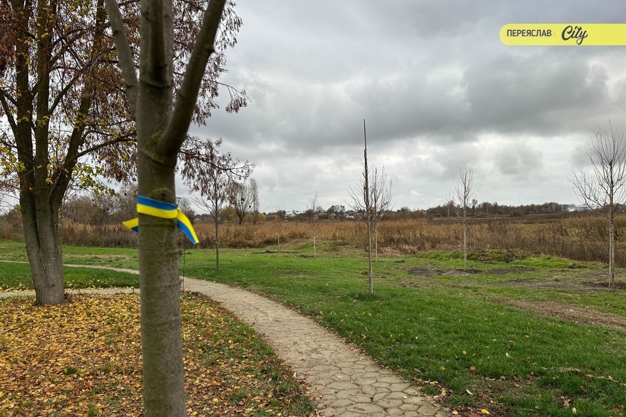 "Прийде час і ви все дізнаєтесь": як батьки Олександра Підборіжного вшановують пам'ять сина-Героя