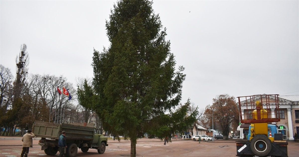 У Переяславі вперше від початку повномасштабної війни встановили головну ялинку на центральній площі