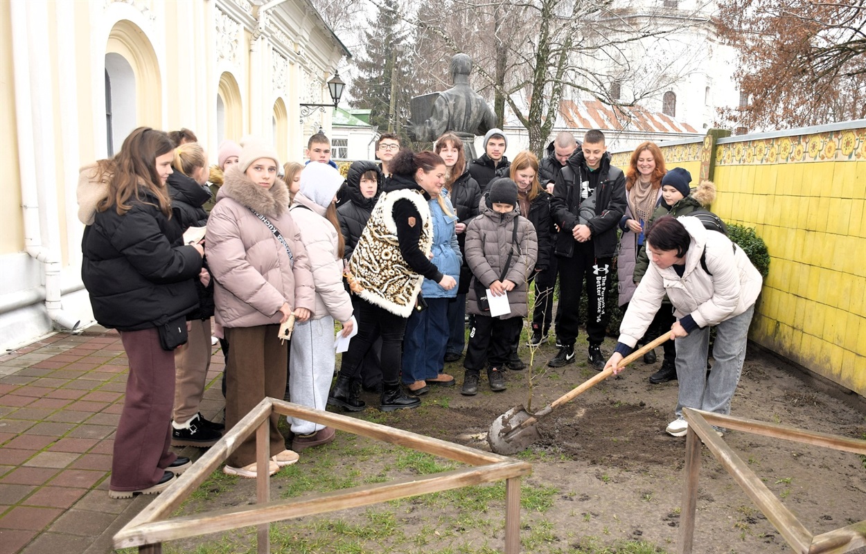 Саджанець нащадка дуба Сковороди висадили в Переяславі, його передали музейники з Харківщини