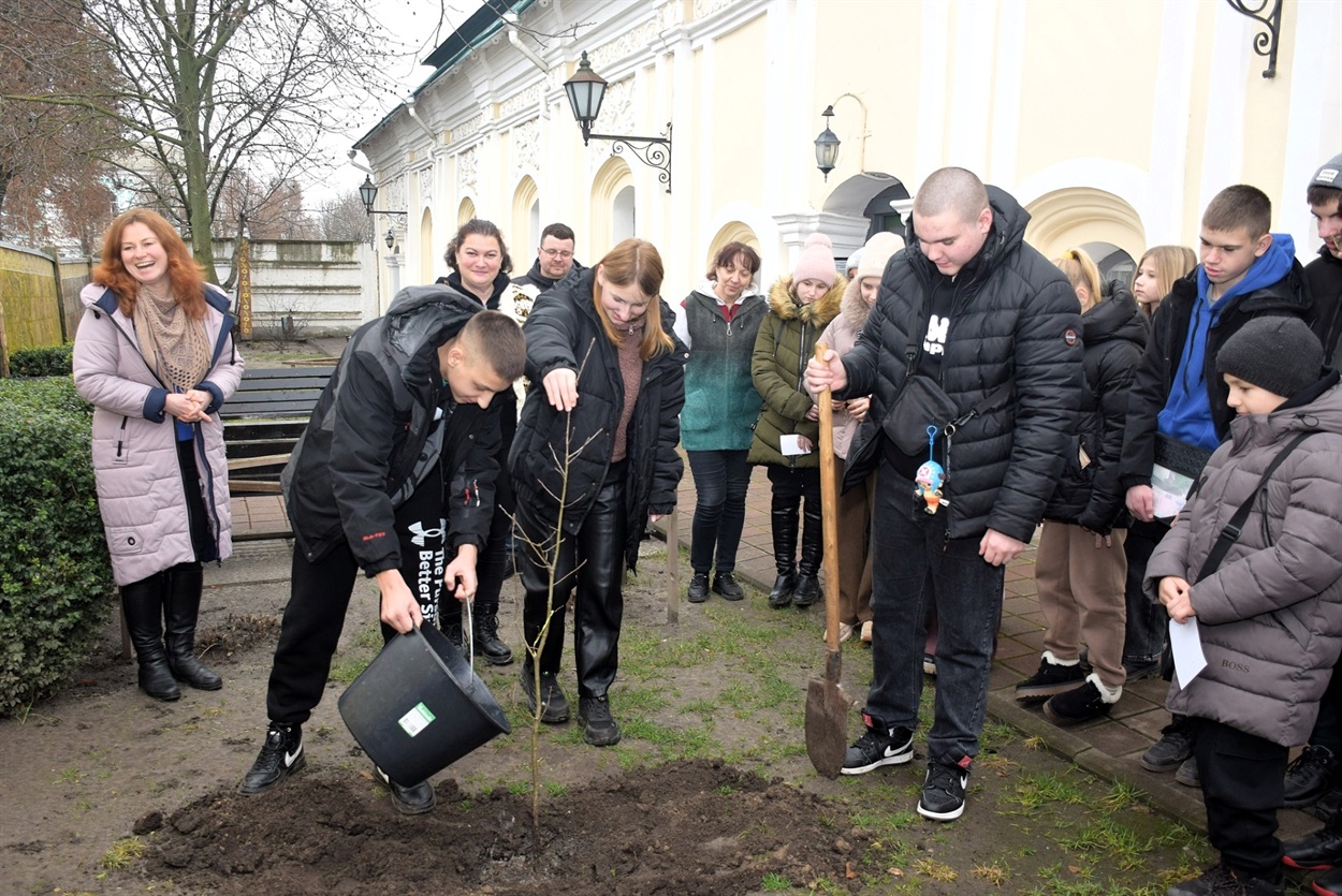 Саджанець нащадка дуба Сковороди висадили в Переяславі, його передали музейники з Харківщини