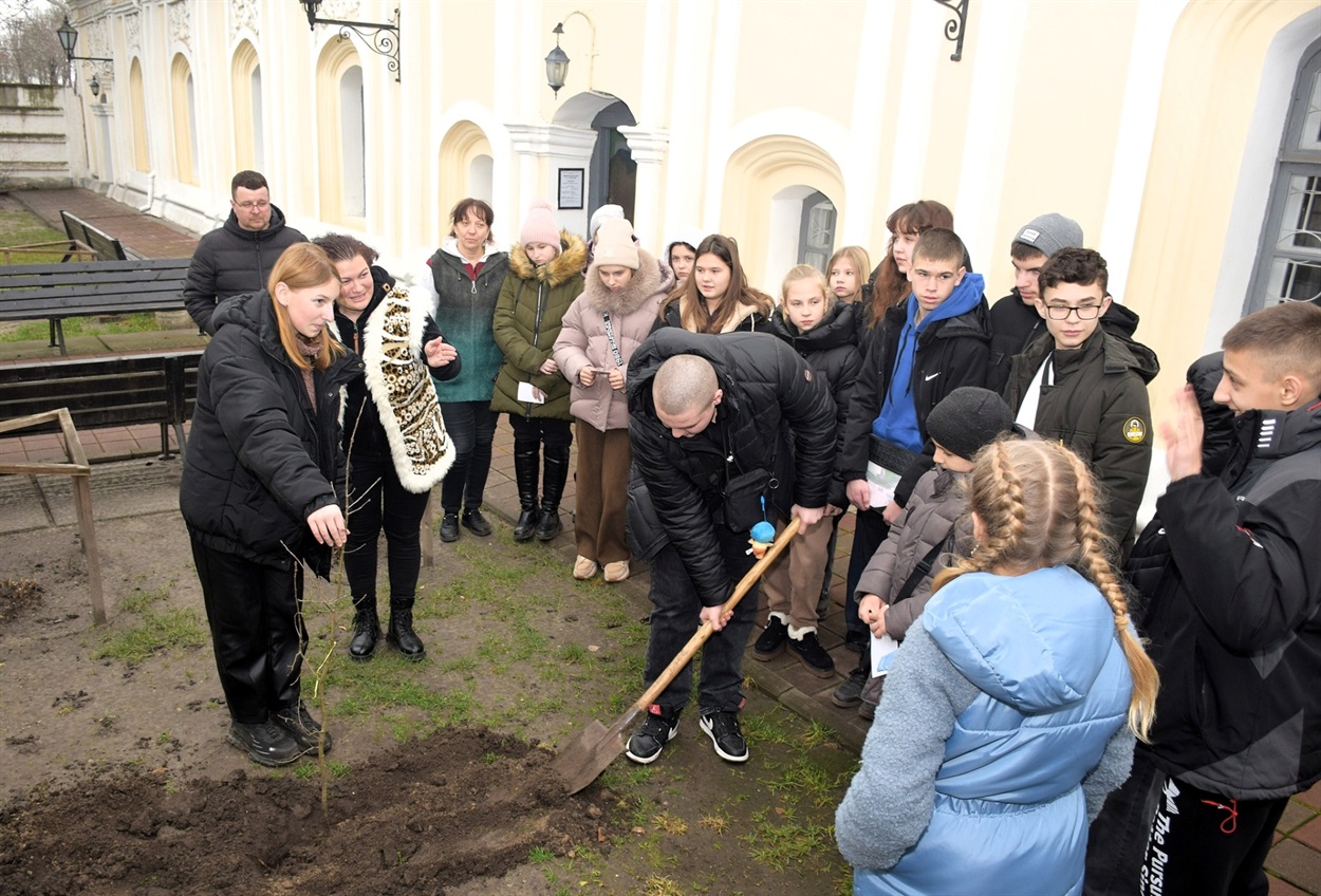 Саджанець нащадка дуба Сковороди висадили в Переяславі, його передали музейники з Харківщини